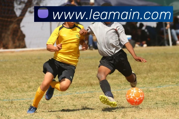 开云平台生态图